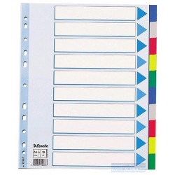 Rozřaďovač A4+ 2x5 listů barev plastový Esselte 15267