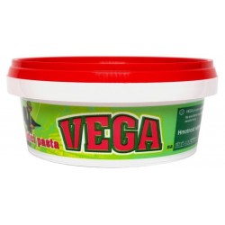 Vega 300g -mycí pasta na ruce