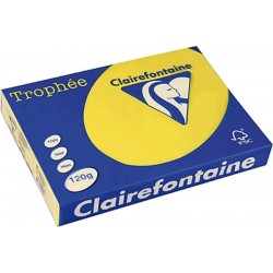 VÝPRODEJ - Papír Clairefontaine A4/160g/250 1029 intenzivní žlutá
