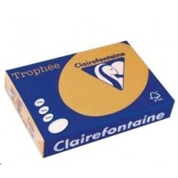 VÝPRODEJ - Papír Clairefontaine A4/ 80g/500 1879 světle hnědá