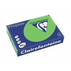 VÝPRODEJ - Papír Clairefontaine A4/210g/250 2208 intenzivní zelená