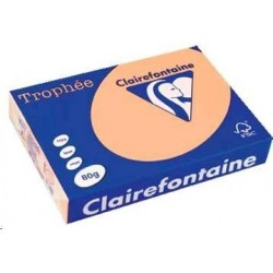 VÝPRODEJ - Papír Clairefontaine A4/160g/250 1104 lososová