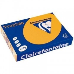 VÝPRODEJ - Papír Clairefontaine A3/160g/250 1110 zlatožlutá
