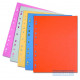 Zboží na objednávku - Rozřaďovač A4+ 100 listů s europerforací CLASSIC oranžová